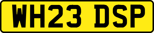 WH23DSP