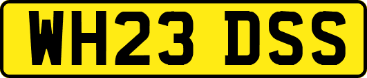 WH23DSS