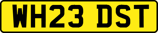 WH23DST