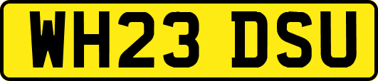 WH23DSU