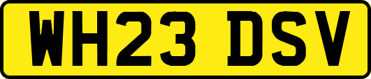 WH23DSV