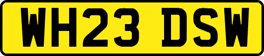 WH23DSW