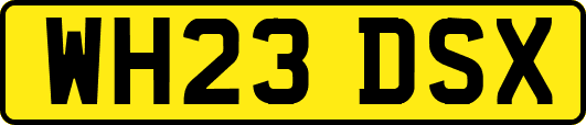 WH23DSX