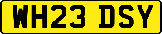 WH23DSY