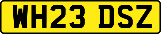 WH23DSZ