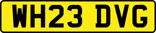 WH23DVG