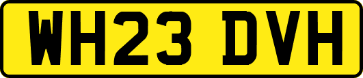 WH23DVH