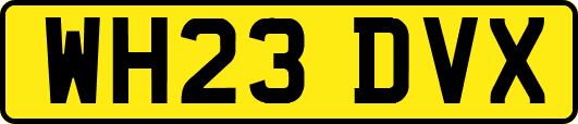WH23DVX