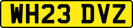 WH23DVZ