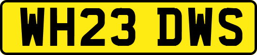WH23DWS