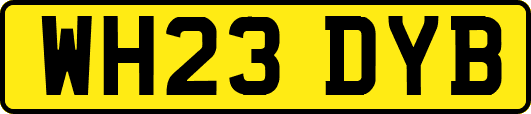 WH23DYB