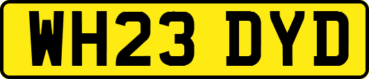 WH23DYD