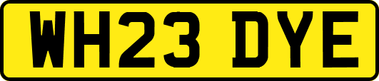 WH23DYE