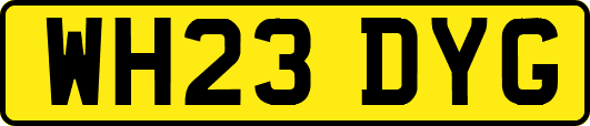 WH23DYG