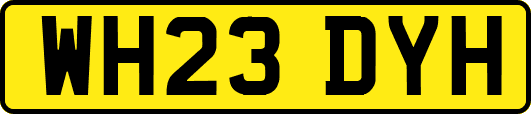 WH23DYH