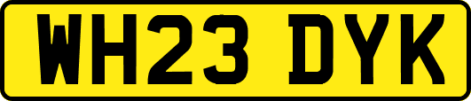WH23DYK