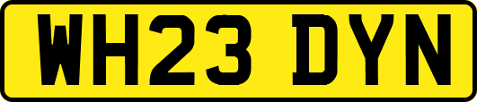 WH23DYN