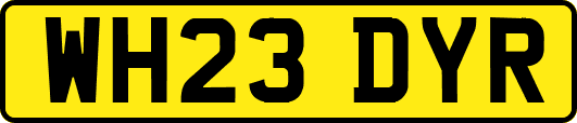 WH23DYR