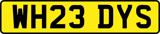 WH23DYS