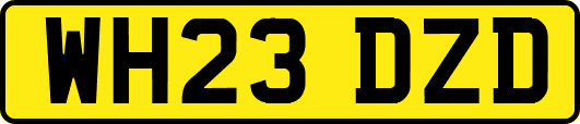 WH23DZD