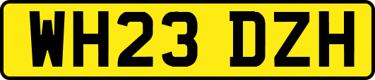 WH23DZH