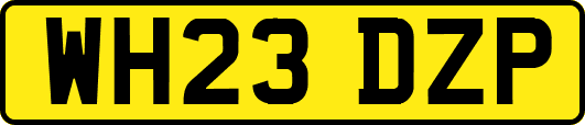 WH23DZP