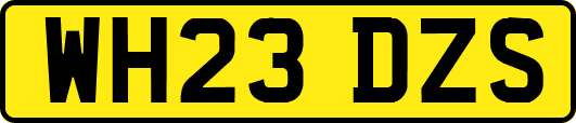 WH23DZS