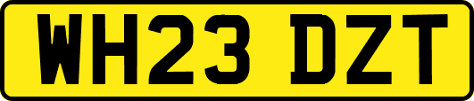 WH23DZT