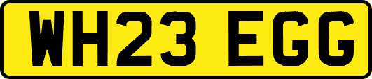 WH23EGG