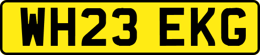 WH23EKG