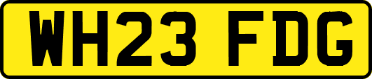 WH23FDG