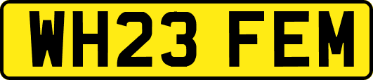 WH23FEM