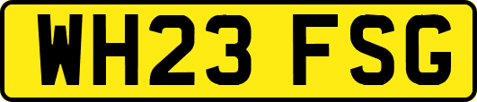 WH23FSG