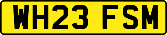 WH23FSM