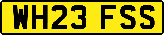 WH23FSS