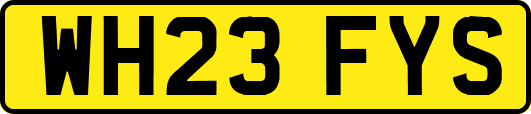 WH23FYS