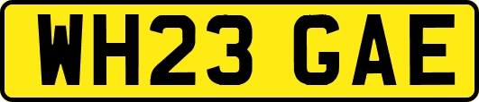 WH23GAE