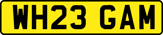 WH23GAM