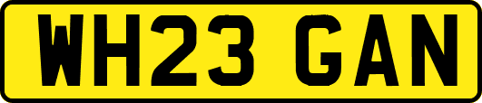 WH23GAN
