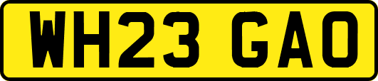 WH23GAO
