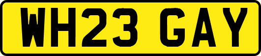 WH23GAY
