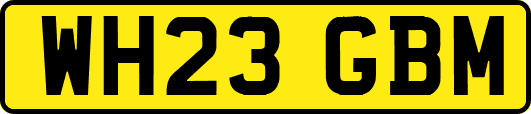WH23GBM