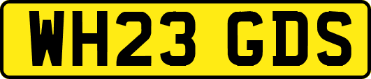 WH23GDS