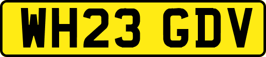 WH23GDV