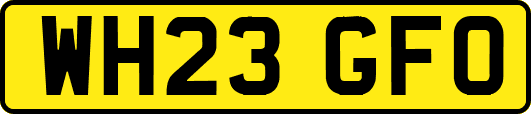 WH23GFO