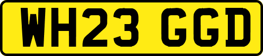 WH23GGD