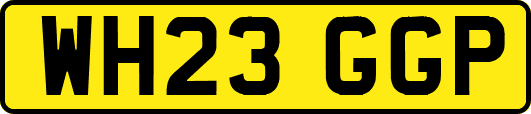 WH23GGP