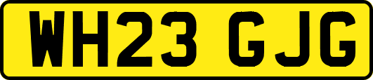 WH23GJG