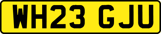 WH23GJU