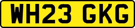 WH23GKG